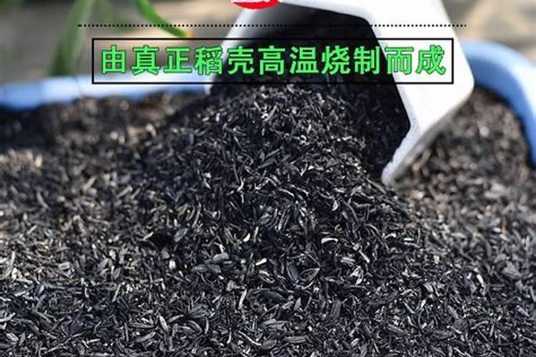 多肉施什么肥好