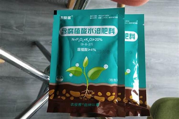 玉米喷施叶面肥效果怎么样