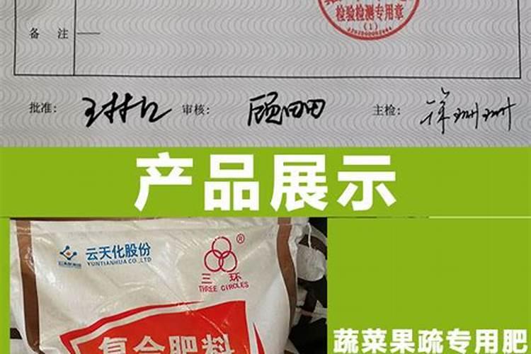 板蓝根种植