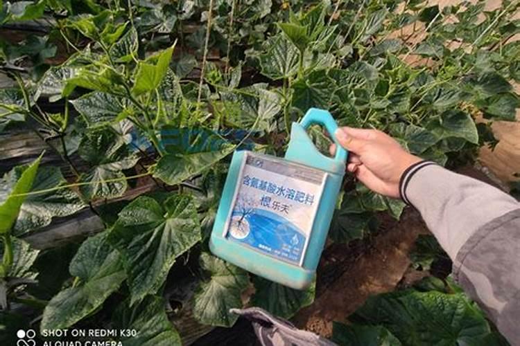矿源黄腐酸钾的正确使用方法