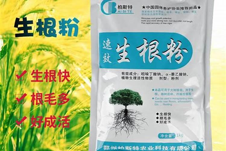 水溶肥的肥效能保持多长时间