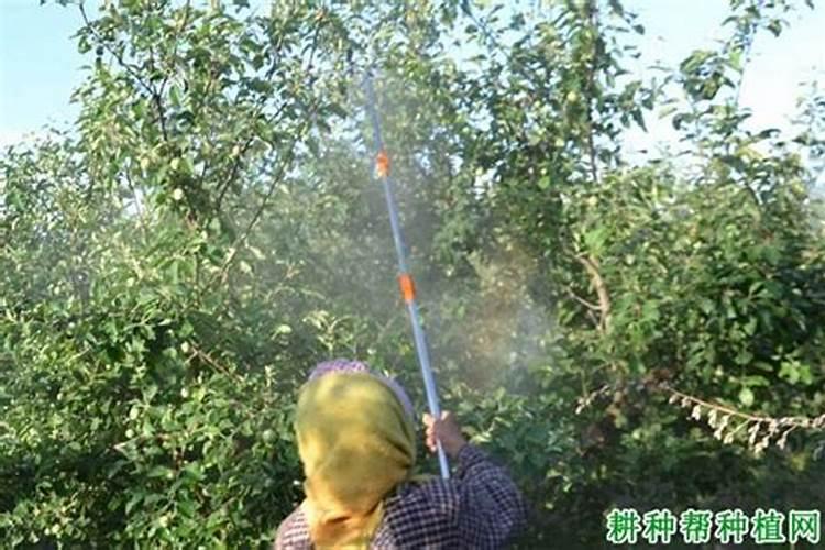 水溶肥3个20是多少时间肥力