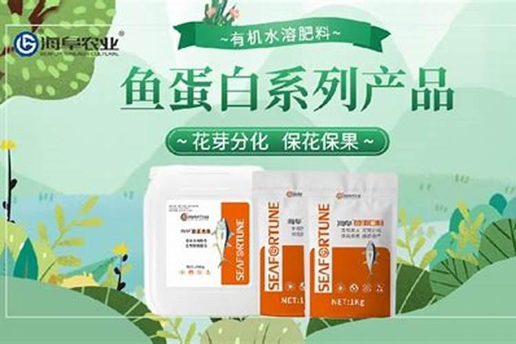 鱼蛋白使用注意事项