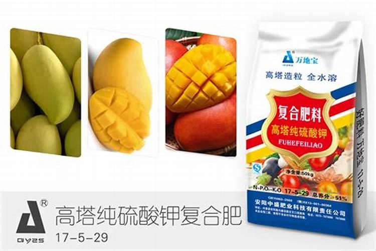 芒果用什么肥料能快速成长？施肥几次？