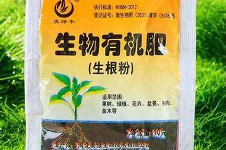花生开花期怎样施肥