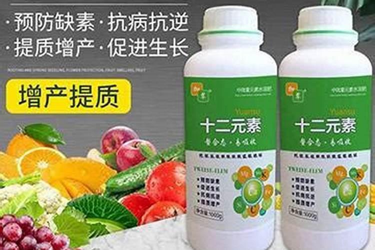 柑橘苗叶面肥施药方法 柑橘专用叶面肥应该如何施用