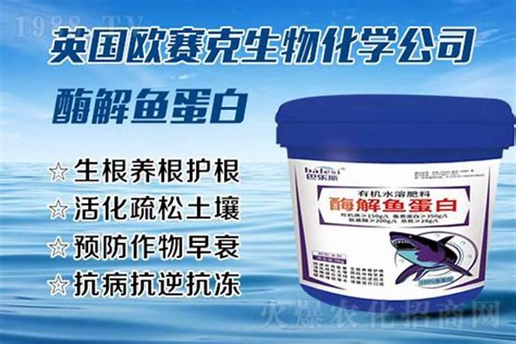 身体缺镁吃什么食物补