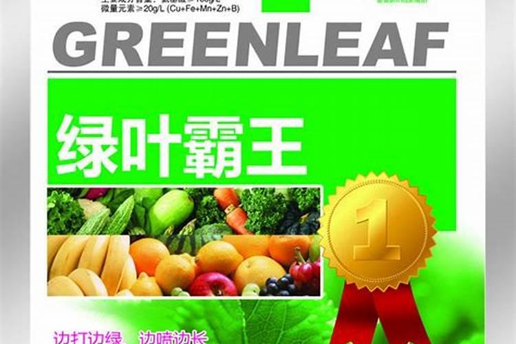 吃什么东西补磷？