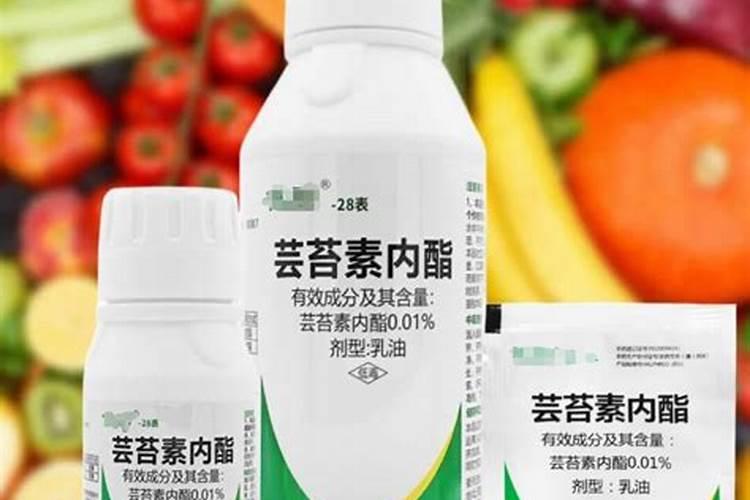 芸苔素使用十大禁忌要避免