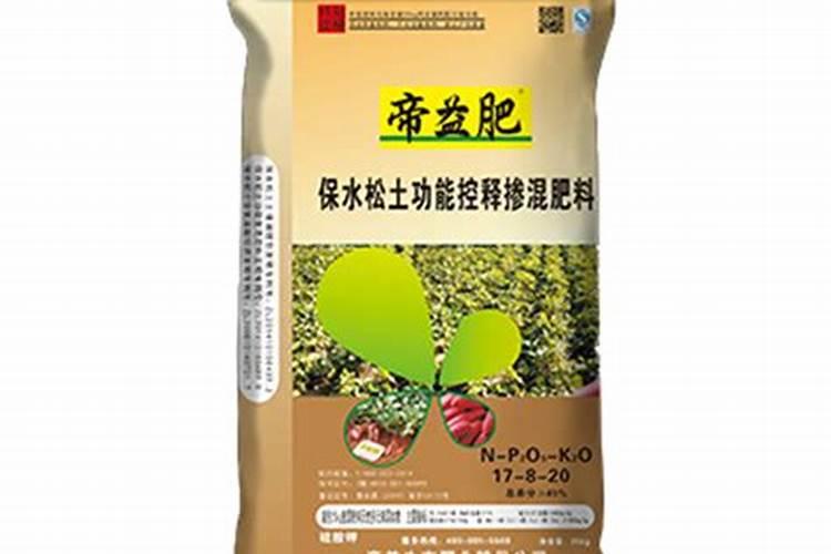 如何用沼液作为叶面肥喷施柑橘？