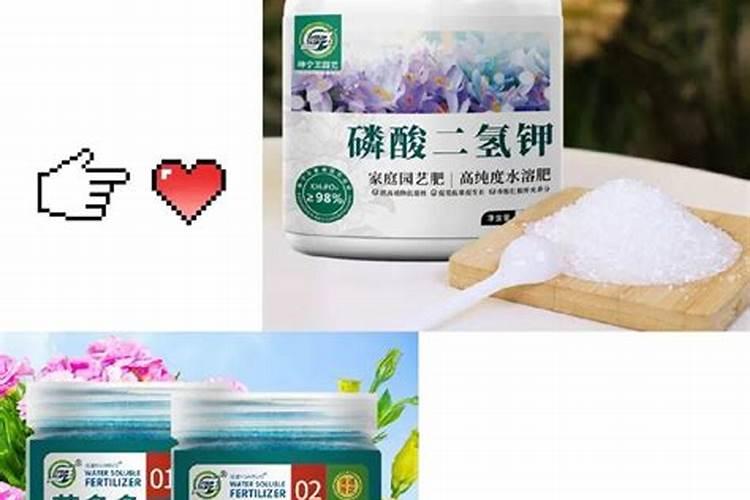 柑橘喷施叶面肥有哪些讲究？
