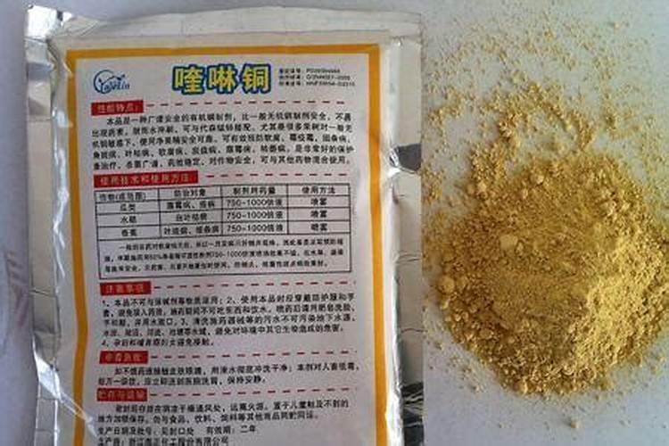 什么蔬菜水果含镁多