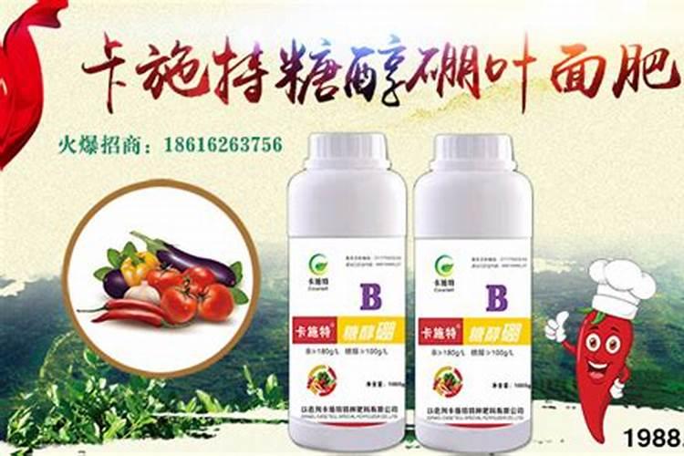 蔬菜种植缺硼有什么症状？如何正确补硼？