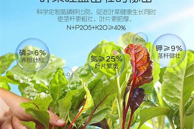 氮肥有哪些花