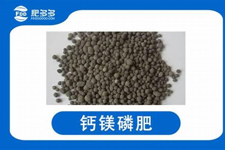 南瓜磷肥过多有什么危害