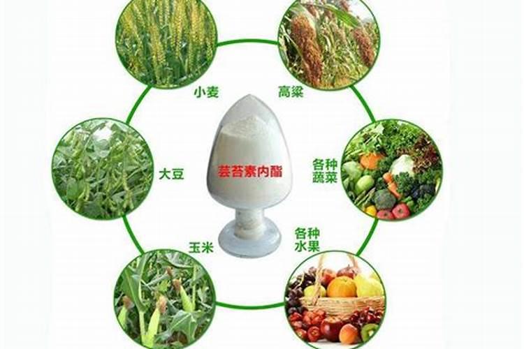 芸苔素好还是膨大素好