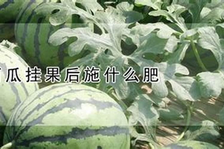 苄氨乙烯利能在芝麻地用吗？
