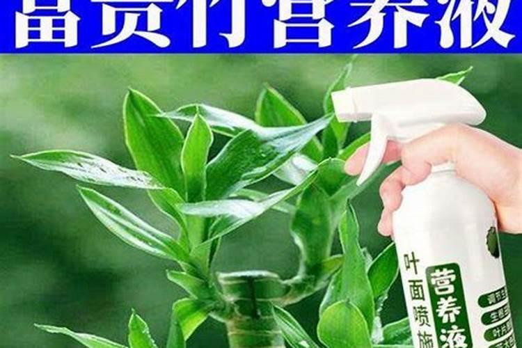 乙烯利对玉米的危害