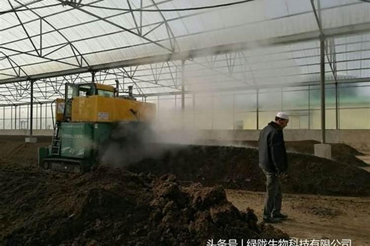 使用叶面肥有什么好处
