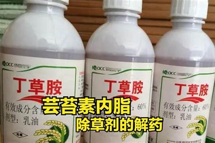 芸苔素十多效唑打小麦可以吗？