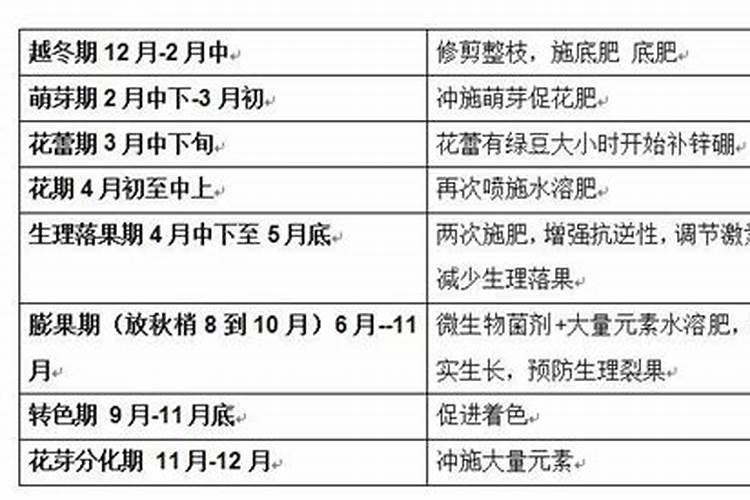 柑橘施壮果肥最佳时间 施肥方法有哪些
