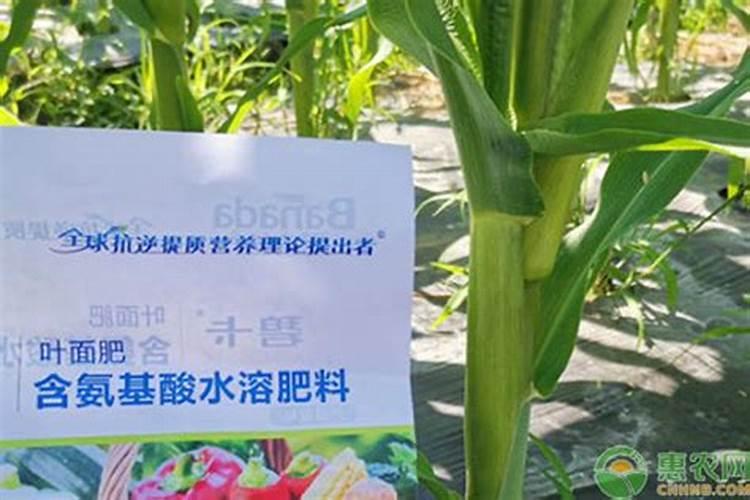 春雷喹啉铜可以配钙镁叶面肥吗？