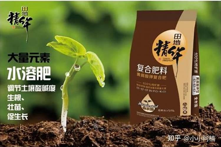 柑橘苗叶面肥施药方法