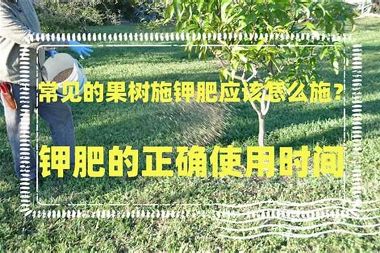 孕妇吃什么补镁