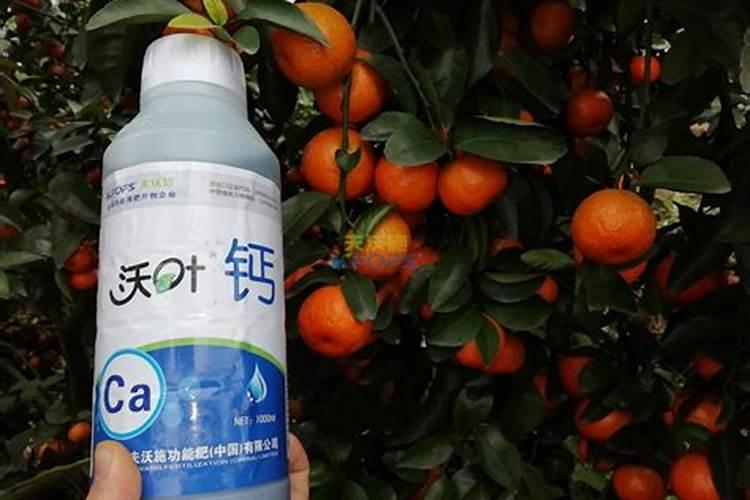 果树缺钙用什么肥料最适合