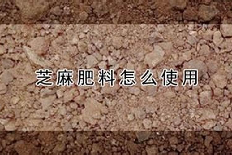 芝麻底肥放什么肥好(底肥施用方法)