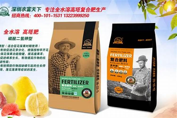 柚子树施肥多少肥料