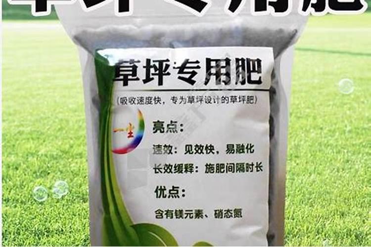 草坪要想长得快施什么肥