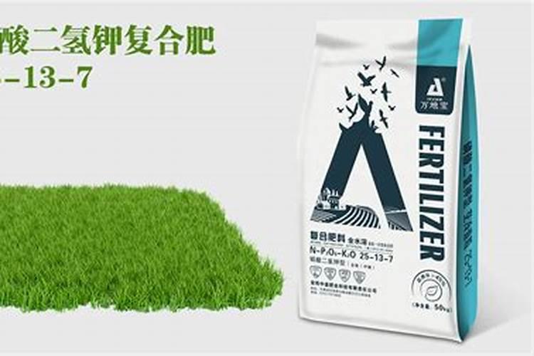草坪春天施什么肥好