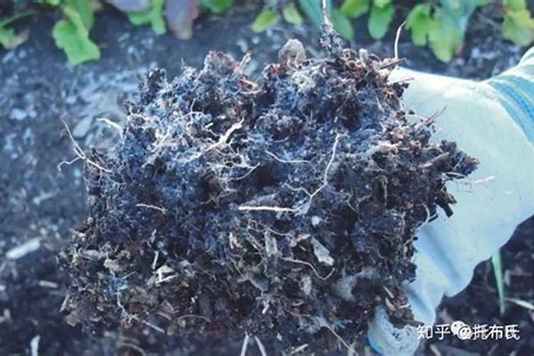 蚯蚓粪腐植酸的机理作用是什么,主要对农作物来说？