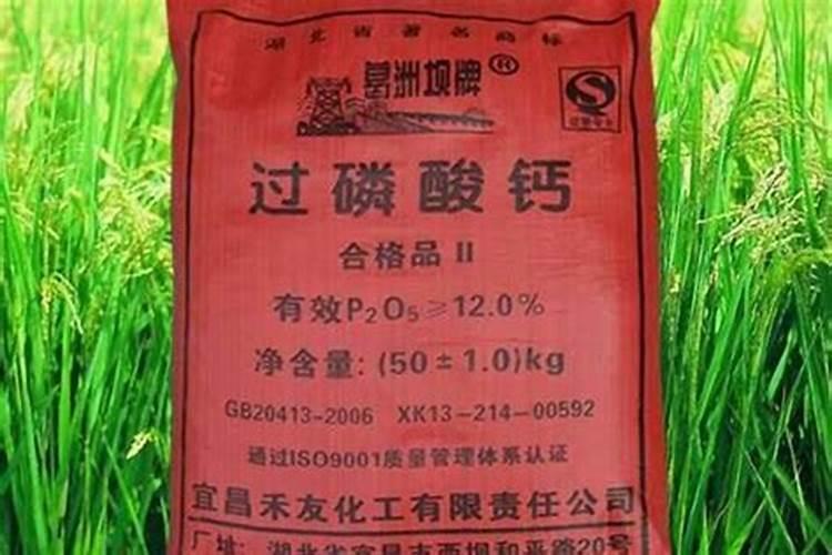柑橘专用叶面肥 果树叶面肥哪家好 柑橘用什么叶面肥效果好