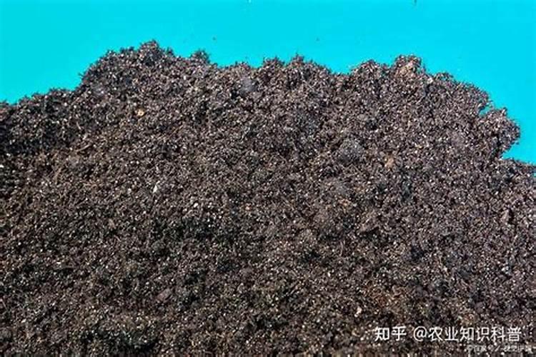 硅肥适用于哪些作物？