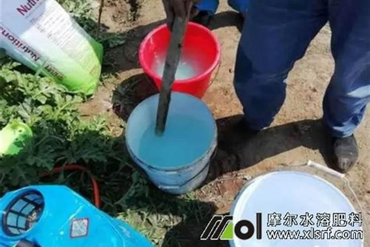 种菜第一遍水颗粒土囊要不要浇透怎么才算浇透？