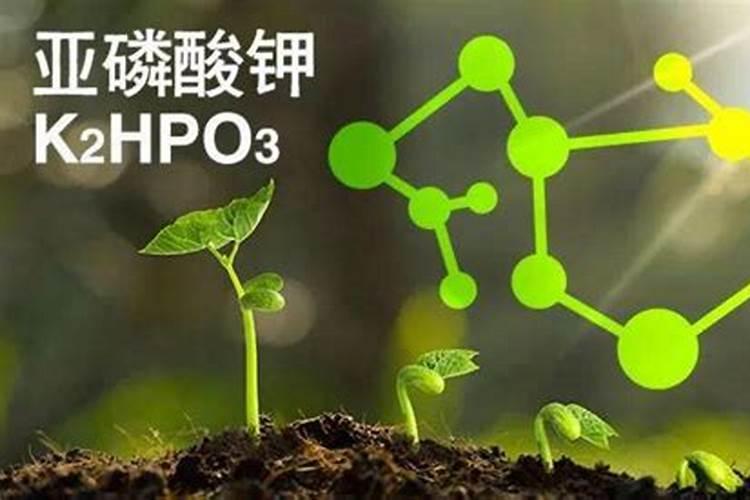 磷钾肥和磷酸二氢钾有什么区别