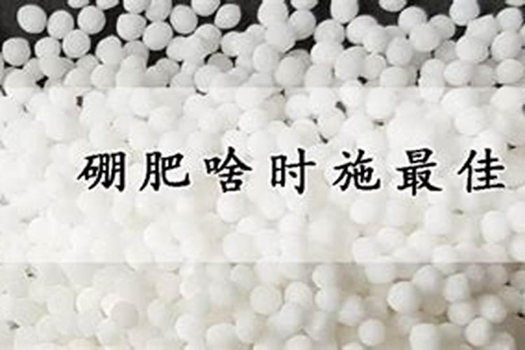 棉花硼肥什么时候打 如何正确使用
