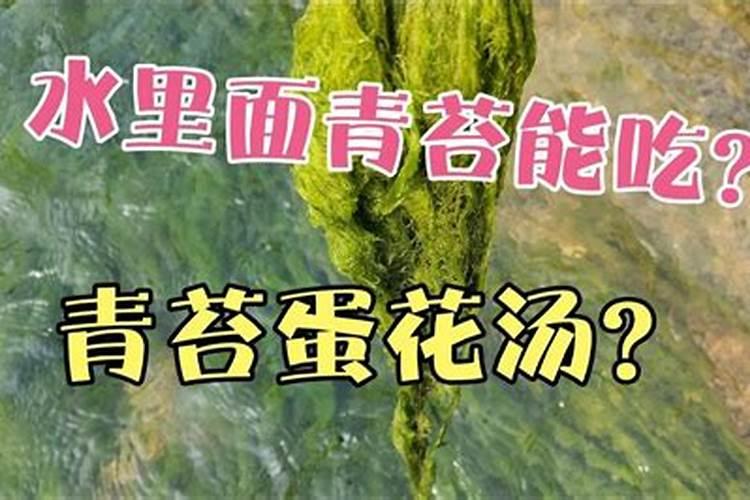 水产健康养殖为什么要强调使用生石灰？