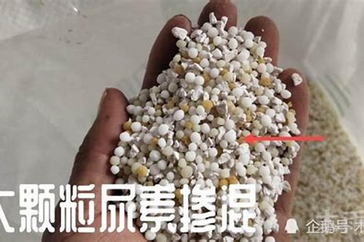 尿素和硝酸铵钙哪个肥效期长