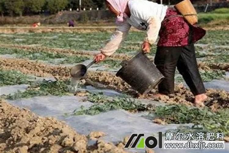 请问？哪个国家的硼肥比较好？