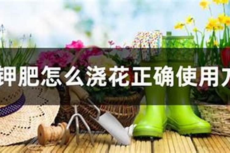 磷酸二氢钾怎样使用才能使花卉长的好(家庭养花如何施肥)