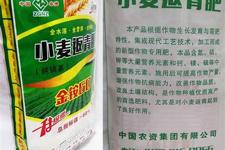 小麦返青水多久浇一次水