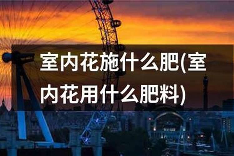 家庭养花要买什么肥料最好(自己在家种花适合的花肥)