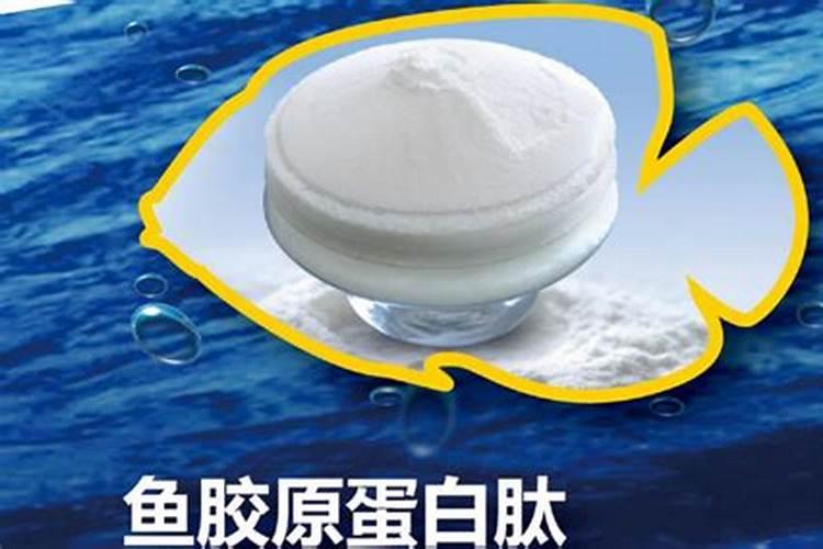 鱼蛋白使用注意事项