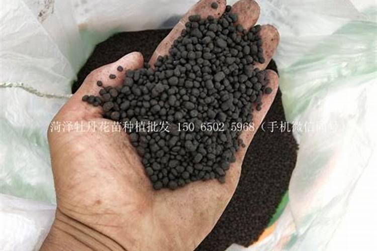 牡丹花施什么肥最好