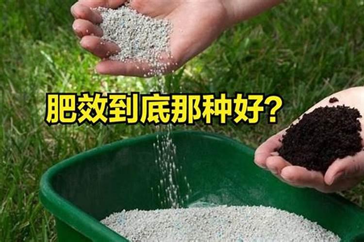 氮、磷、钾三种化肥的区别方法