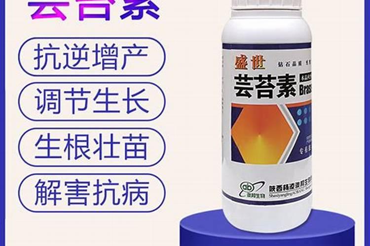 水溶肥的肥效能保持多长时间