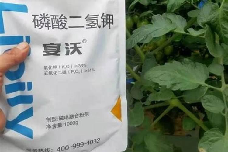 水容肥给果树多久施肥一次